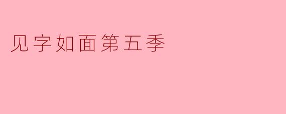 见字如面第五季