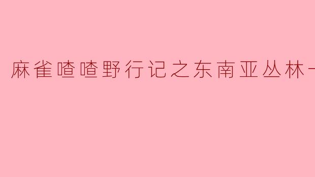 ### 麻雀喳喳野行记之东南亚丛林一百天