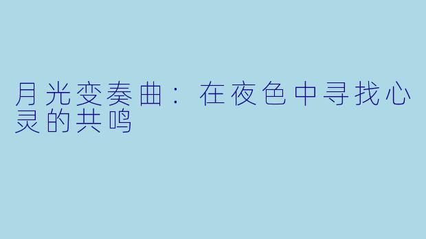 月光变奏曲：在夜色中寻找心灵的共鸣