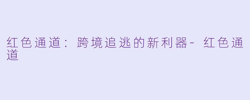 红色通道：跨境追逃的新利器-红色通道