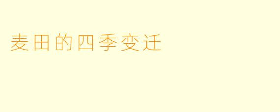 麦田的四季变迁