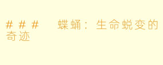 ### 蝶蛹：生命蜕变的奇迹