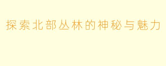 探索北部丛林的神秘与魅力
