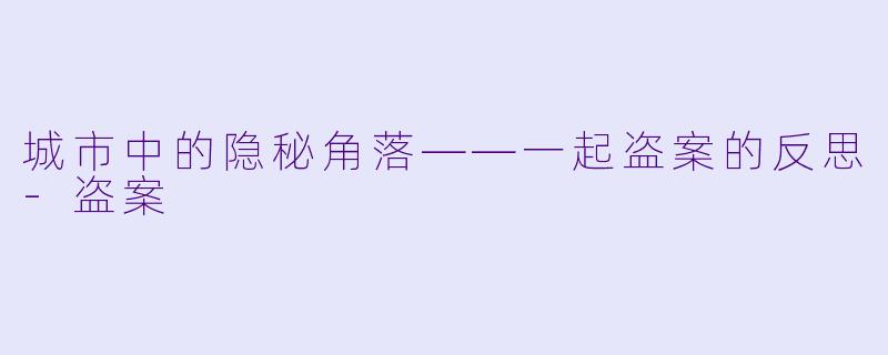 城市中的隐秘角落——一起盗案的反思-盗案