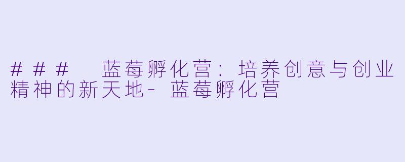 ### 蓝莓孵化营：培养创意与创业精神的新天地-蓝莓孵化营