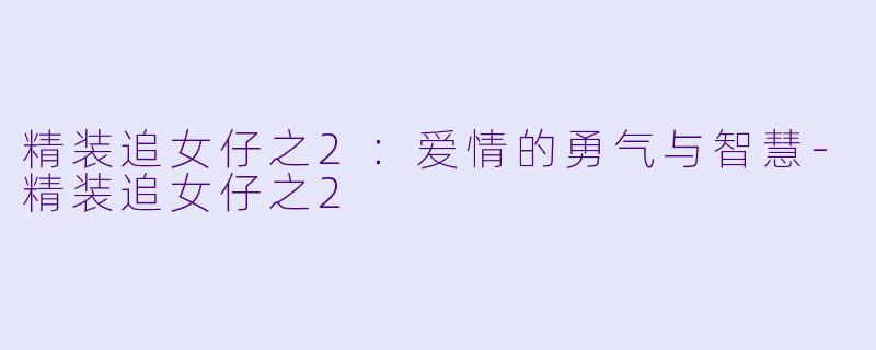 精装追女仔之2：爱情的勇气与智慧-精装追女仔之2