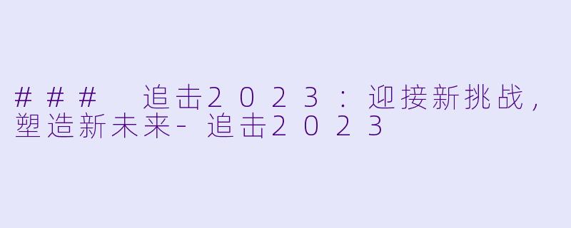 ### 追击2023：迎接新挑战，塑造新未来-追击2023
