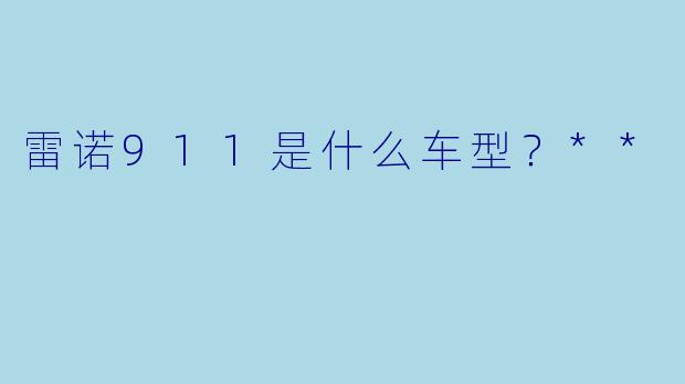 雷诺911是什么车型？**