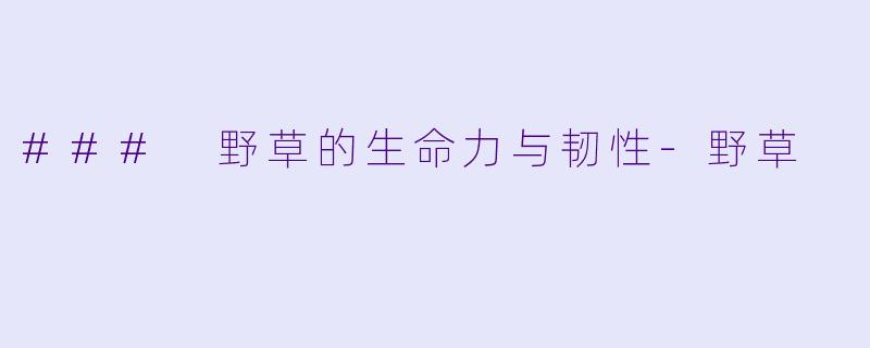### 野草的生命力与韧性-野草