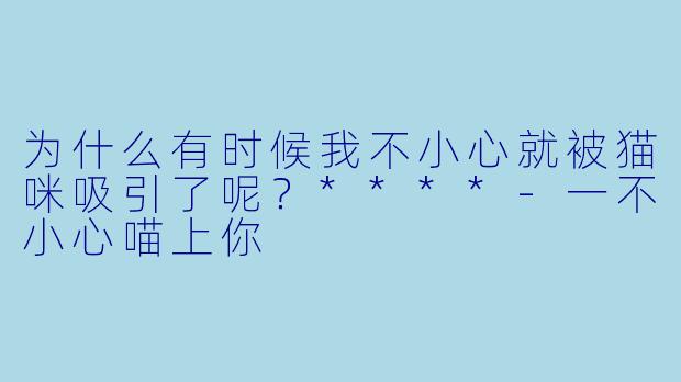 为什么有时候我不小心就被猫咪吸引了呢？****