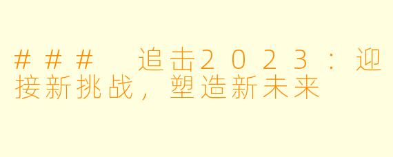 ### 追击2023:迎接新挑战,塑造新未来