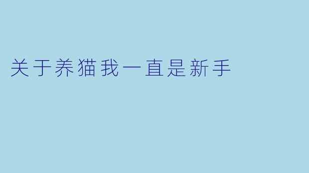 关于养猫我一直是新手