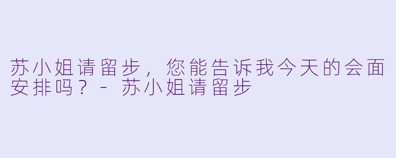苏小姐请留步，您能告诉我今天的会面安排吗？