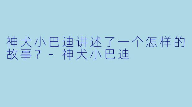 神犬小巴迪讲述了一个怎样的故事？