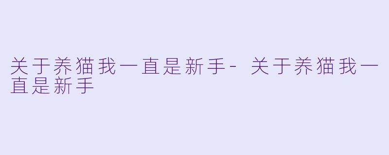 关于养猫我一直是新手