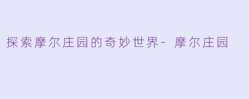 探索摩尔庄园的奇妙世界