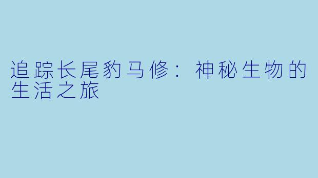 追踪长尾豹马修：神秘生物的生活之旅