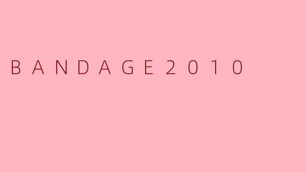 ### BANDAGE2010:连接与创造的音乐盛宴