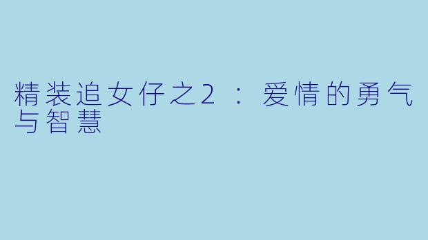 精装追女仔之2:爱情的勇气与智慧