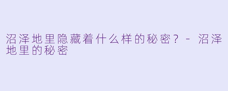 沼泽地里隐藏着什么样的秘密？