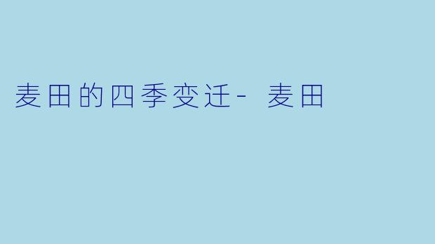 麦田的四季变迁-麦田