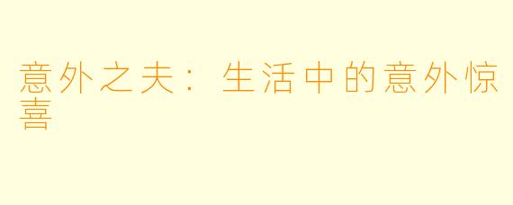 意外之夫:生活中的意外惊喜