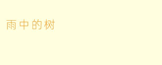 雨中的树