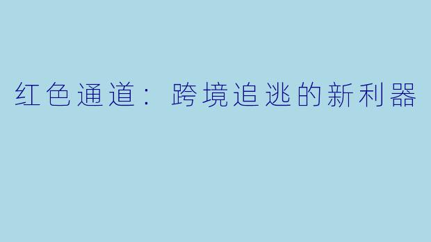 红色通道:跨境追逃的新利器