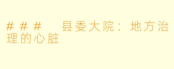 ### 县委大院:地方治理的心脏
