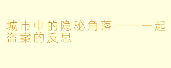 城市中的隐秘角落——一起盗案的反思