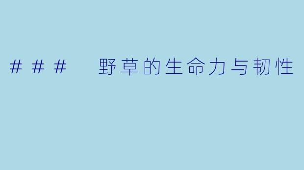 ### 野草的生命力与韧性