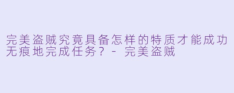 完美盗贼究竟具备怎样的特质才能成功无痕地完成任务?
