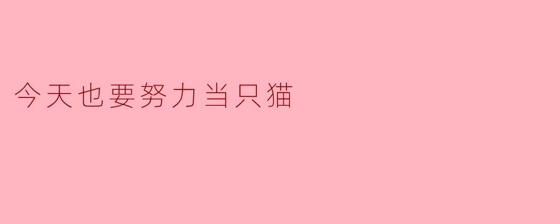 今天也要努力当只猫