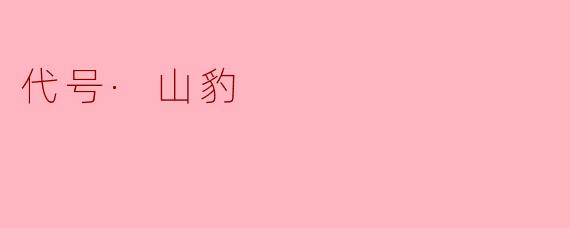 破晓之光:代号·山豹的神秘使命
