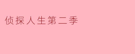 侦探人生第二季