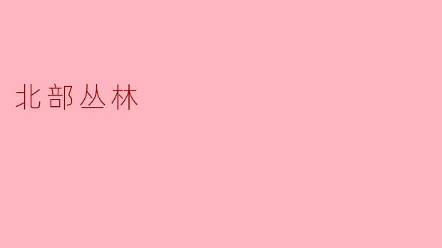 探索北部丛林的神秘与魅力