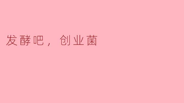 发酵吧，创业菌