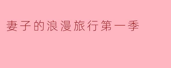 妻子的浪漫旅行第一季