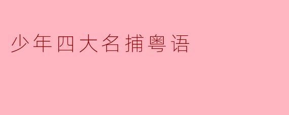 重温经典:少年四大名捕粤语版的魅力