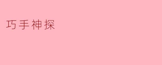 巧手神探