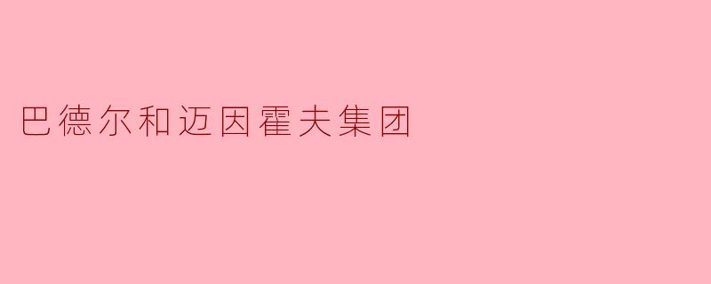 ### 巴德尔和迈因霍夫集团:德国的极左激进主义