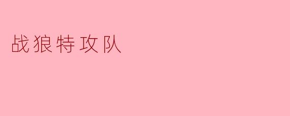 奋勇争先的战狼特攻队
