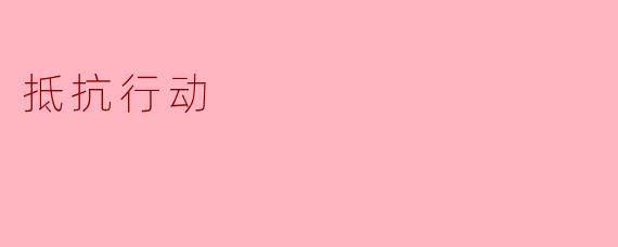 在面对不公正的制度时，个人如何有效参与抵抗行动？