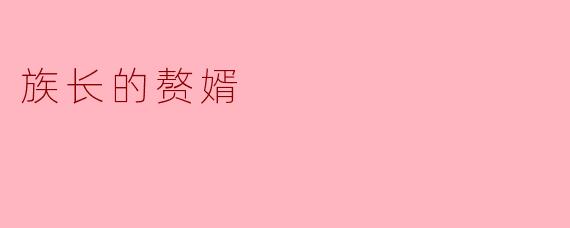 族长的赘婿在故事中面临了怎样的挑战?**
