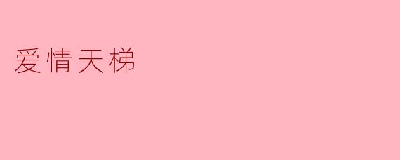 爱情天梯