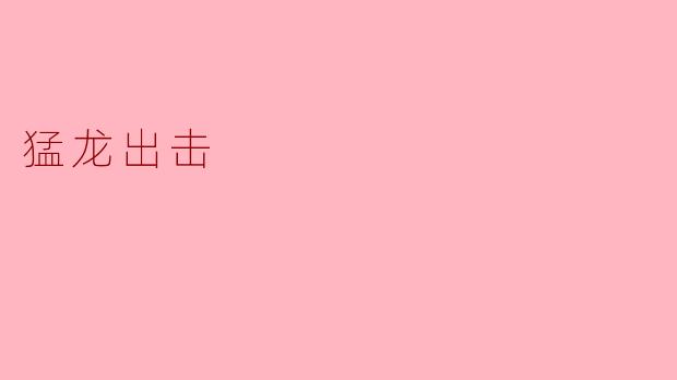 猛龙出击
