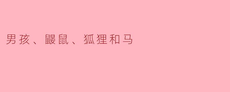 男孩、鼹鼠、狐狸和马之间的友谊代表了什么？**