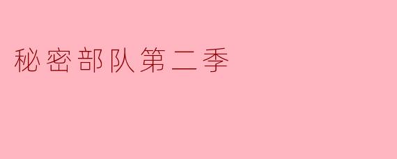 秘密部队第二季