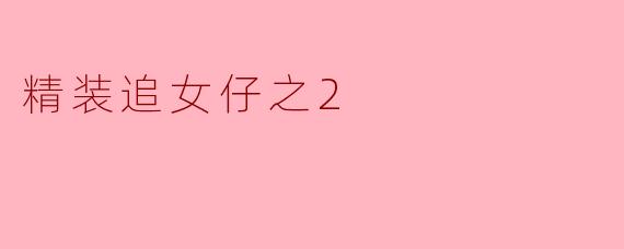 精装追女仔之2