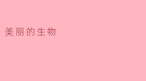 ### 自然界的瑰宝——美丽的生物
